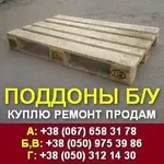 А, Б, В, Г: поддоны б/у. Куплю продам ремонт поддоны б/у. Киев