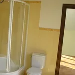 Комплексный и частичный ремонт квартир домов офисов.