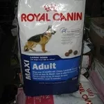 Корма Роял Канин Royal Canin для собак и котов продажа