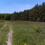 Срочно продам сплошной участок земли размером 8 га. 30 км от Киева