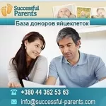 Ищем Доноры яйцеклеток для программ 2014-2015 Киев