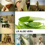 Нежный крем. Набор тестеров 10 шт. Aloe Vera Бесплатная доставка и про