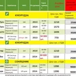 Закупіть насіння кукурудзи чи соняшника та отримайте гроші у подарунок