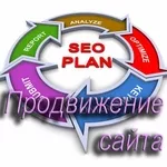 Поисковое продвижение сайта (SEO) business-online.pp.ua 