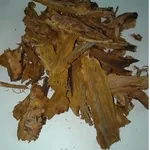 кора усохшей вишни настоящая