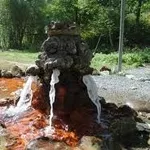 Минеральная вода из источника Карпат,  Оленёво.