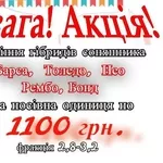 АКЦІЯ!!!АКЦІЯ!!! НЕО ( економ )