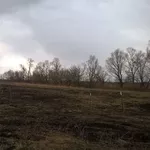 Участок 12 соток с. Погребы Броварской р-н 