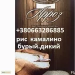 Продается Рис КамалиноКруглыйбурыйдикий и другие сорта 