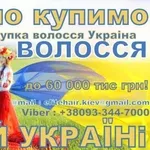 Купуємо волосся у Львові (Висока ціна)