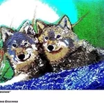 картина пара волков 