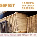 Энергоэффективные промышленные сушильные камеры GEFEST DKA+ для сушки тонкой дубовой ламели.