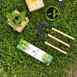 Квітучі олівці з логотипом. Друк на олівцях