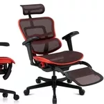 Кресло Ergohuman Ultra X9 Gaming Legrest Equator с подставкой для ног