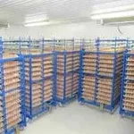 Холодильна камера Тривалого зберігання яєць (встановлення під ключ)