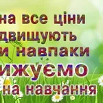 Курси бухгалтеров диплом та сертифікат знижка на навчання