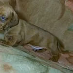 Продам срочно!