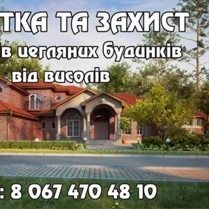 очистка та захист фасадів від висолів                                 
