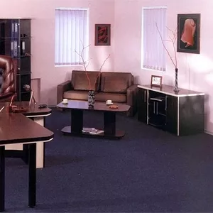 Триумф комфортная мебель для кабинета руководителя