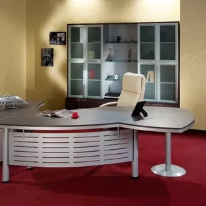 Стильная офисная мебель для кабинета серии Evolution 