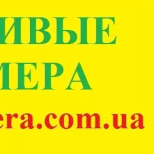 Золотые мобильные номера Мтс Украина Лайф Красивые номера.