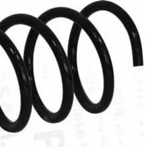 Предлагаем Пружины зад и перед  на автомобиль Dacia Logan