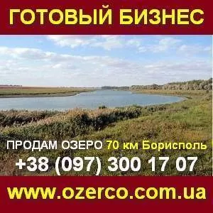 Готовый бизнес. Озеро на продажу 70 км Борисполь.