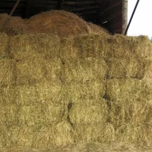 Сено тюкованное урожая 2011 года