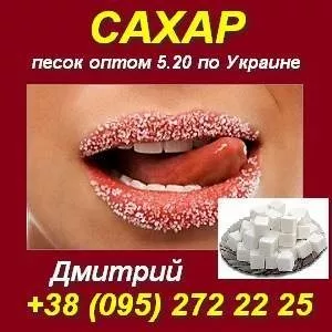 Сахар песок оптом 5.20 по Украине. Распродажа сахара.