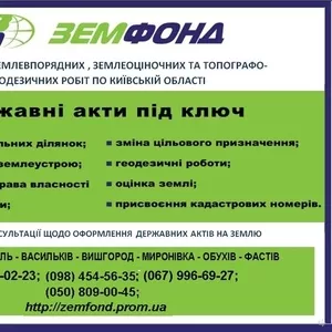 Землеустроительные услуги Киев и область - Земфонд
