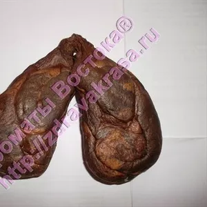 Бобровая струя бобра настойка бобровой струи капсулы кастореум