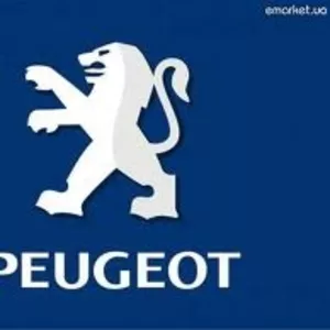 кузовные запчасти на пежо и ситроен