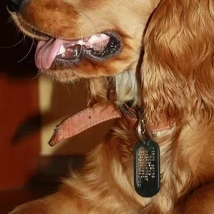 Жетоны и адрессники для собак