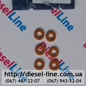 0527157 DAF шайба под форсунку