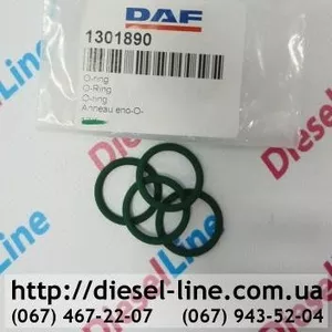 1301890 DAF уплотнительное кольцо форсунки