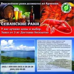 Раки дешево,  Купить раков в Киеве,  Доставка Раков,  Севанские раки