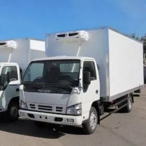 ISUZU NQR сендвич панельным фургоном