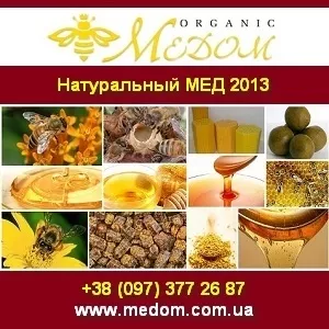 Натуральный мед 2013 Продукты пчеловодства по Украине