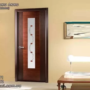 Двери в Вышгороде