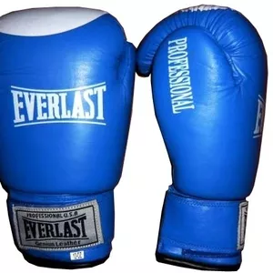 Боксёрские перчатки Everlast,  World Sport (кожа)