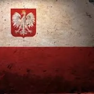 Покупка и доставка автозапчастей из Польши(allegro.pl) и всей Евро