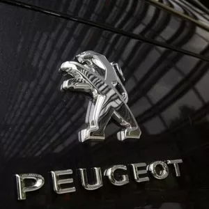 Разборка Peugeot Expert