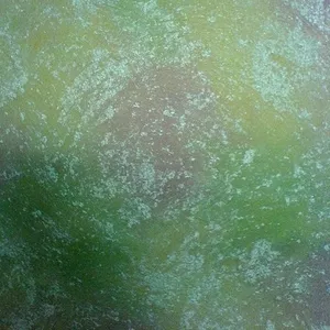 Декоративная штукатурка,  шпаклевка,  покраска,  утепление фасадов