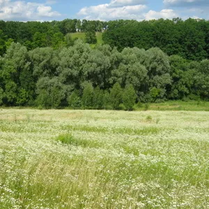 Продается земельный участок под застройку. Киевская обл.,  Обуховский р