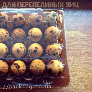 Пластиковая упаковка под перепелиные яйца в Киеве и Украине