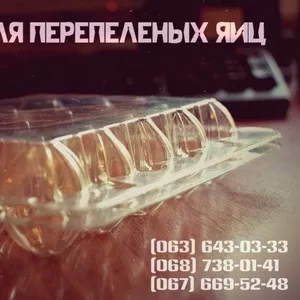  Самая прочная и многоразовая упаковка для перепелиных яиц в Украине!
