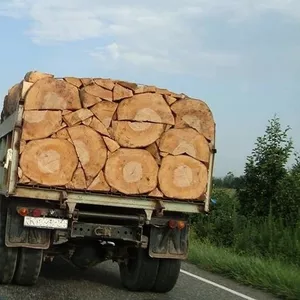 Дрова дуб,  акация,  береза,  сосна,  тополь с доставкой