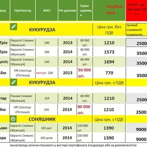 Закупіть насіння кукурудзи чи соняшника та отримайте гроші у подарунок