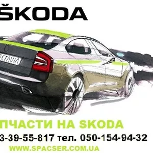 Запчасти на Skoda