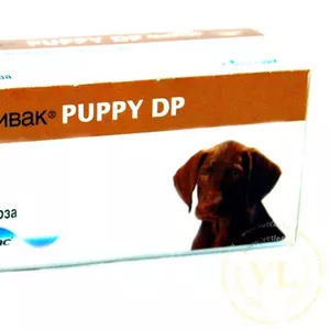 Нобивак Puppy DP,  1 фл. (1 доза) + растворитель 1 фл.